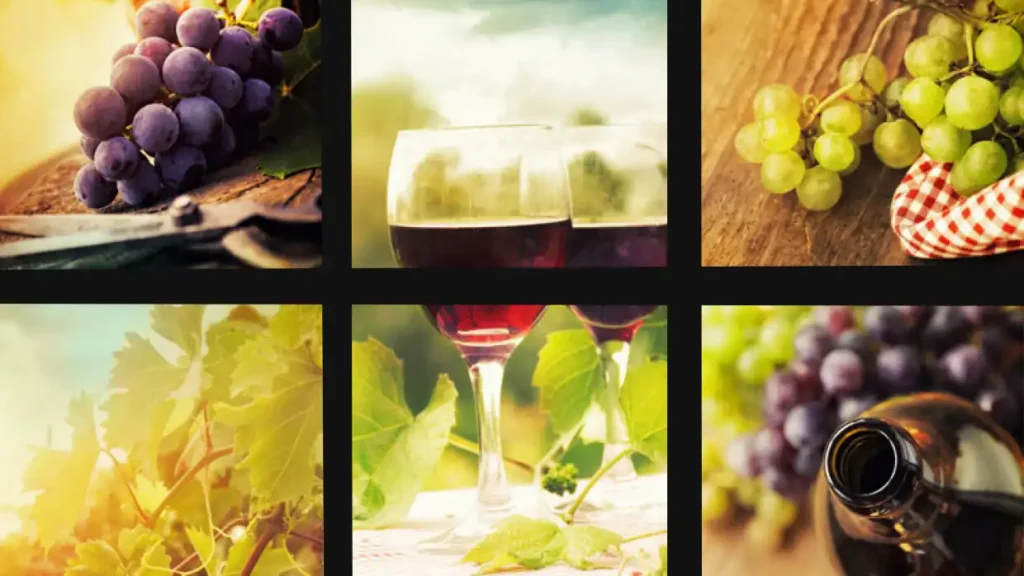 wine images